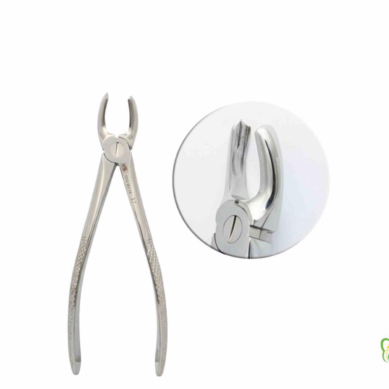 فورسپس مولر بالا راست